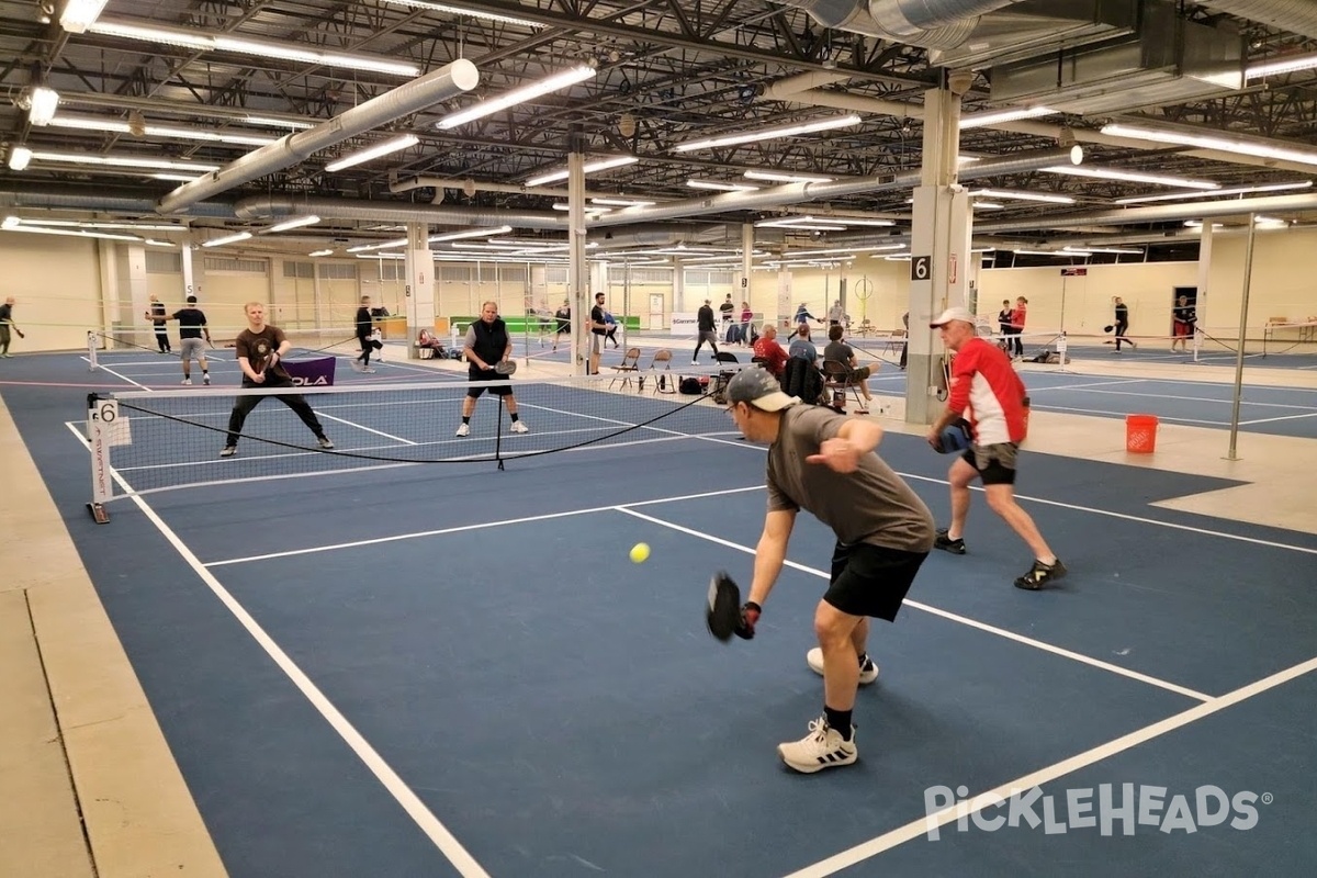 Play Pickleball at All-Stars Pickleball: Court Information | Pickleheads